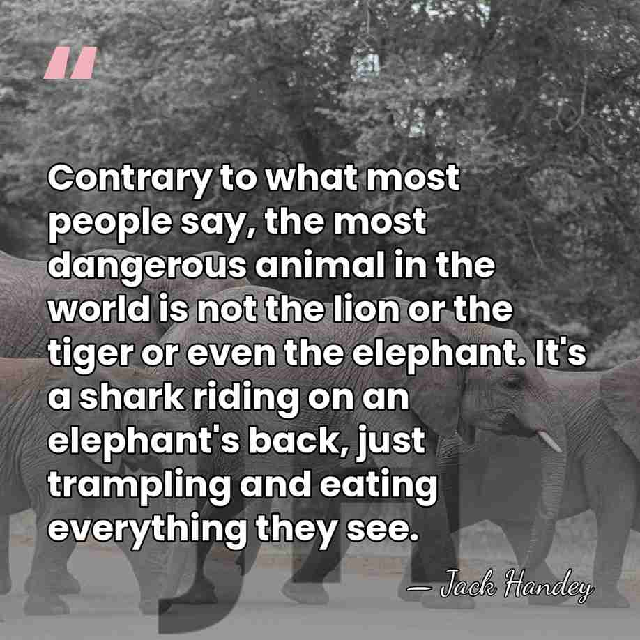 Contrary to what most people say, the most dangerous animal in the&hellip; - Jack Handey