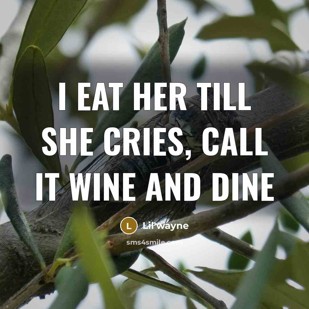 “I eat her till she cries, call it wine and dine” quote by Lil'Wayne