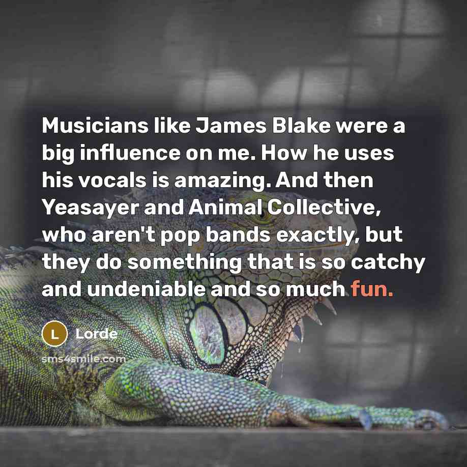 “Musicians like James Blake were a big influence on me.…” quote by Lorde