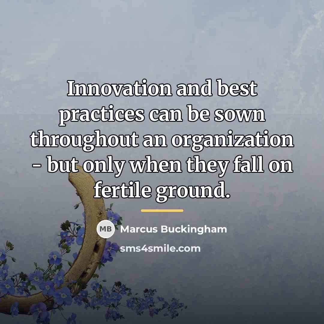 “Innovation and best practices can be sown throughout an organization…” quote by Marcus Buckingham