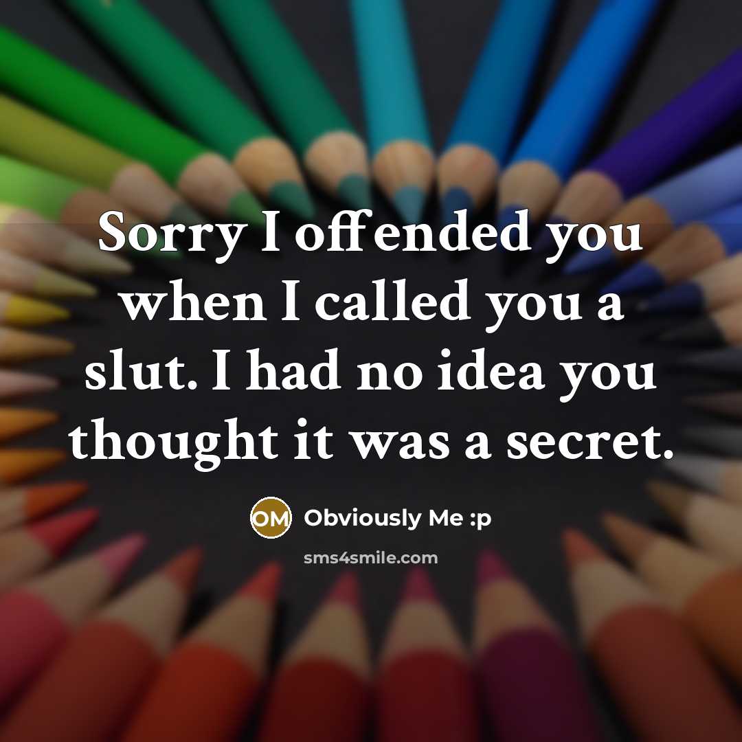 “Sorry I offended you when I called you a slut. I had no idea you thought it was a secret.” quote by Obviously Me :p