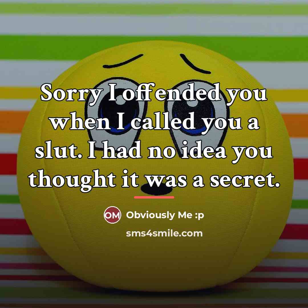 “Sorry I offended you when I called you a slut.…” quote by Obviously Me :p