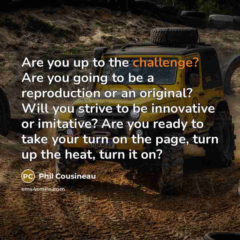 “Are you up to the challenge? Are you going to…” quote by Phil Cousineau