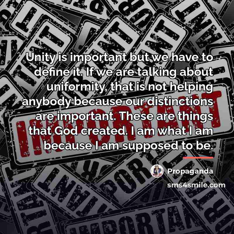 “Unity is important but we have to define it. If…” quote by Propaganda