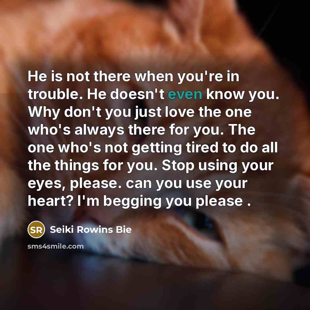 “He is not there when you're in trouble. He doesn't…” quote by Seiki Rowins Bie