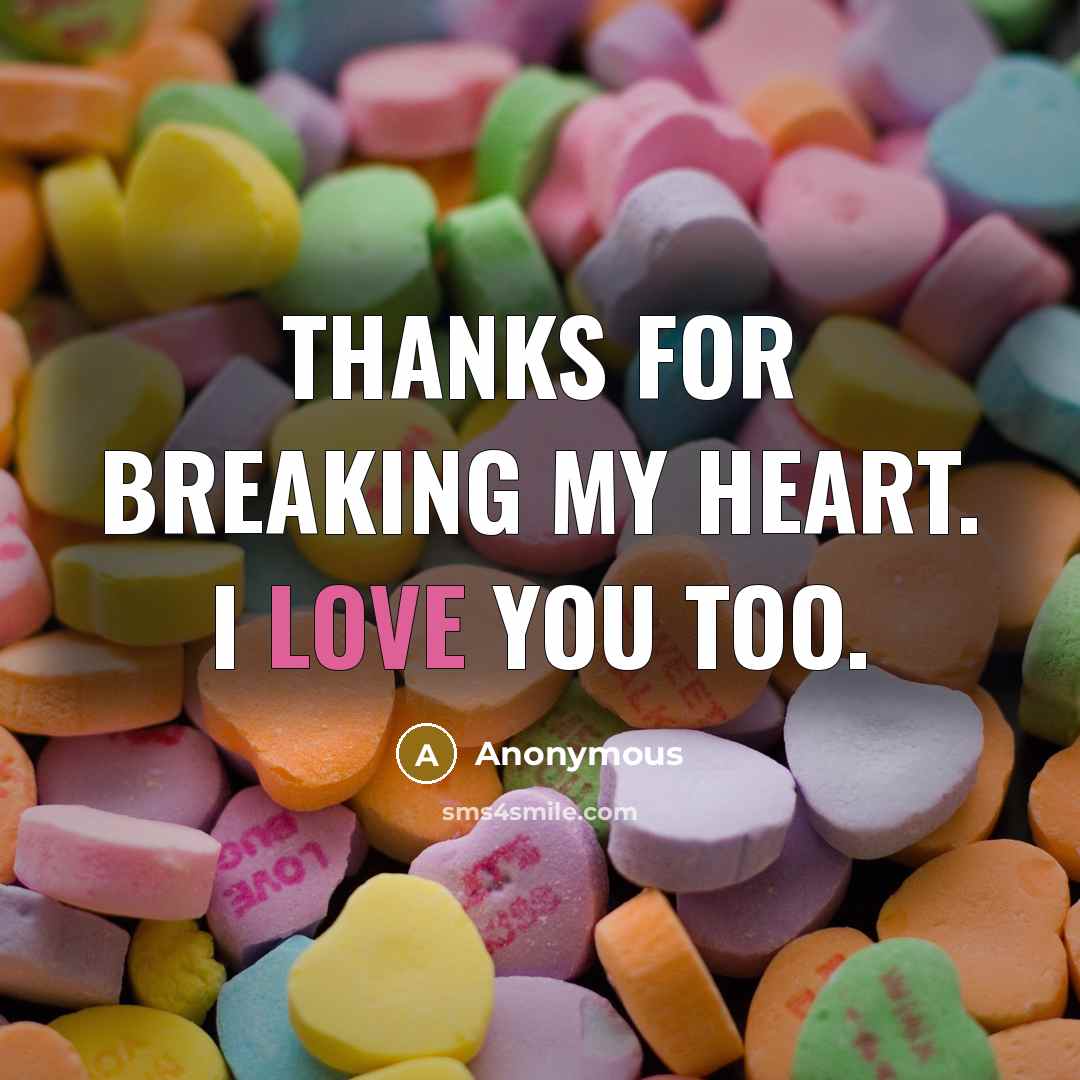 “Thanks for breaking my heart. I love you too.…” quote by Anonymous