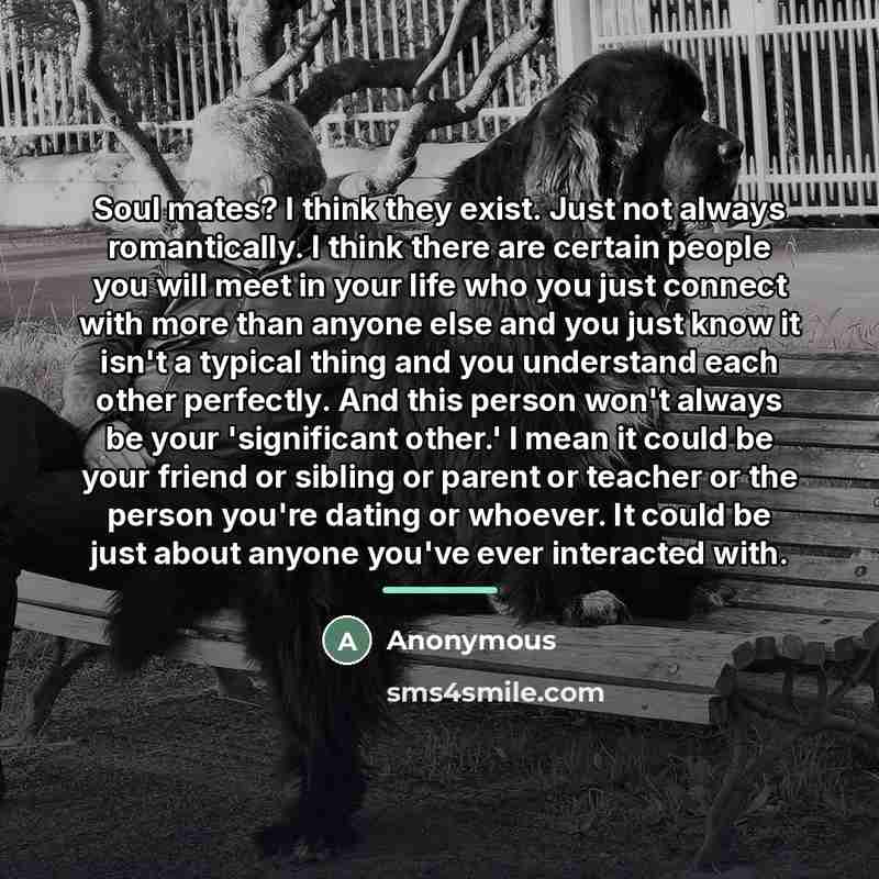 “Soul mates? I think they exist. Just not always romantically.…” quote by Anonymous