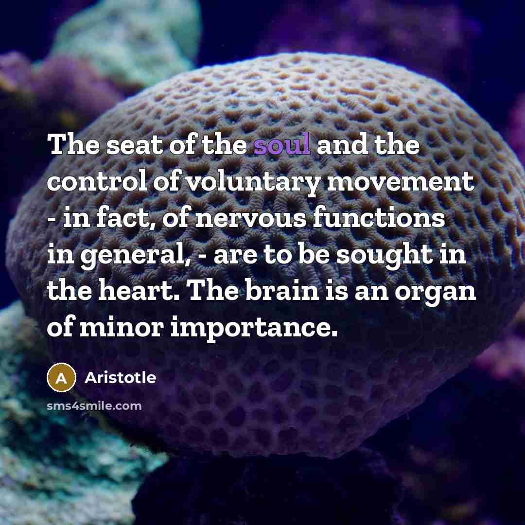 “The seat of the soul and the control of voluntary…” quote by Aristotle