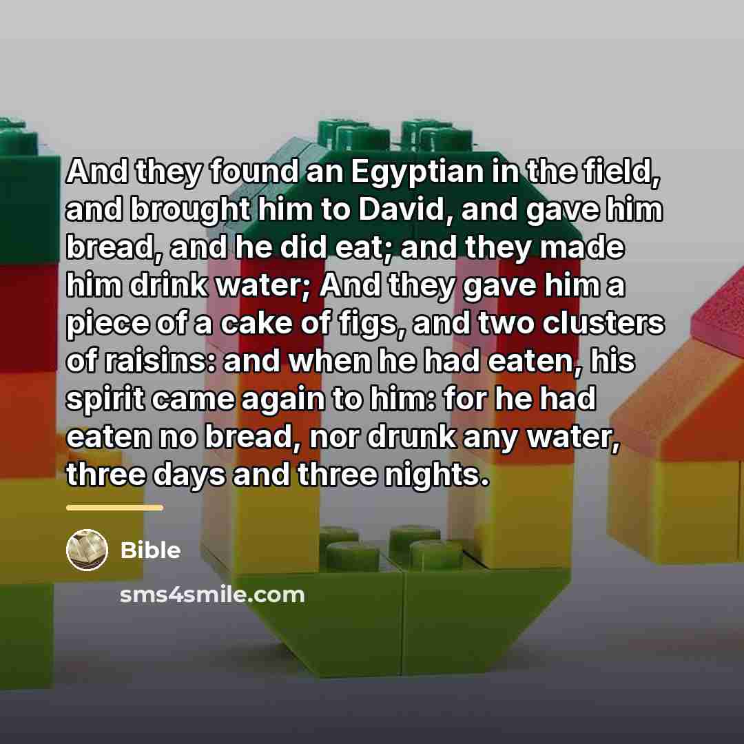 “And they found an Egyptian in the field, and brought…” quote by Bible