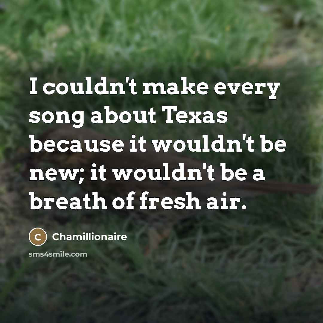“I couldn't make every song about Texas because it wouldn't…” quote by Chamillionaire