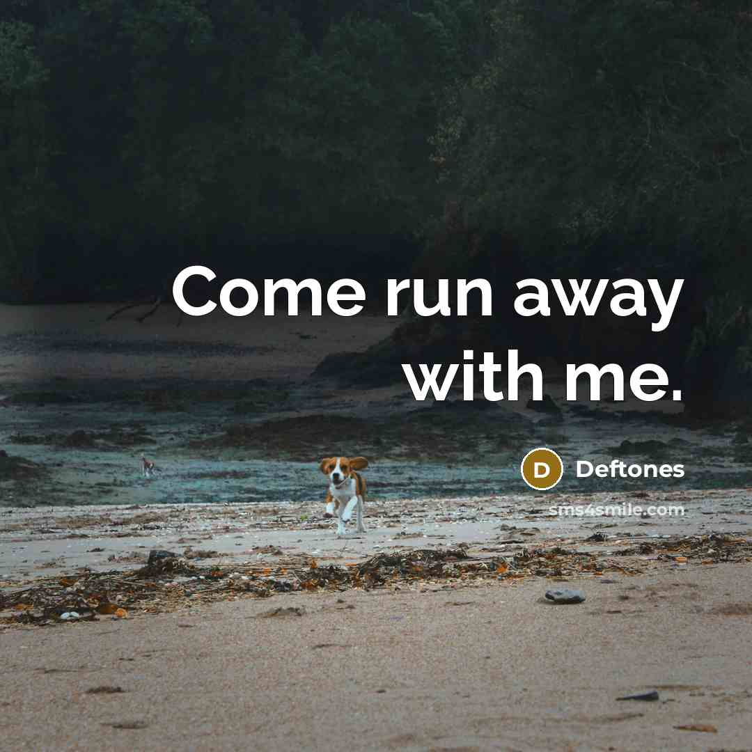 “Come run away with me.…” quote by Deftones