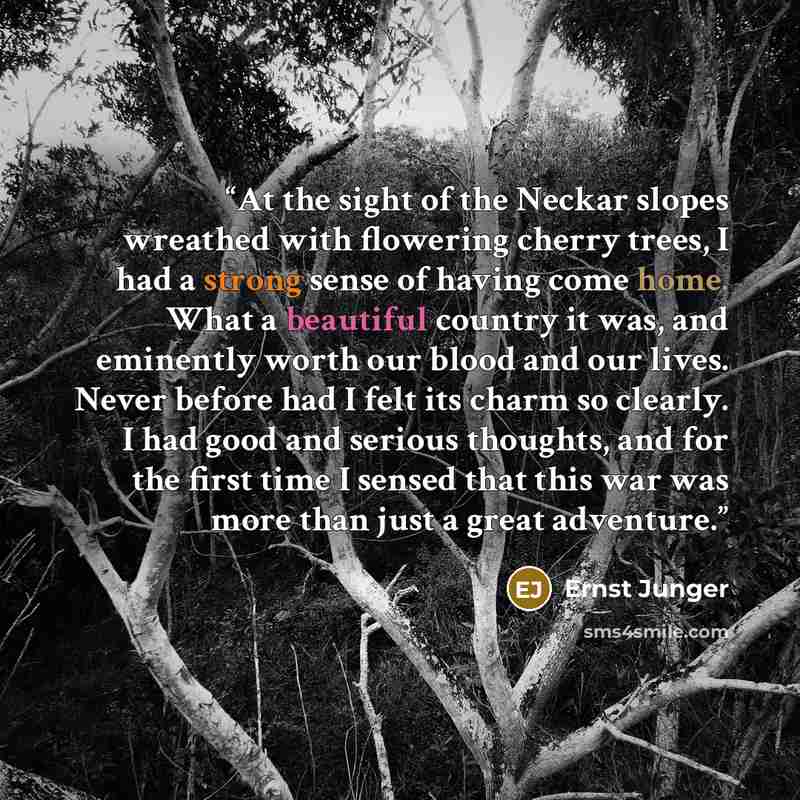 “At the sight of the Neckar slopes wreathed with flowering cherry trees, I had a strong sense of having come home. What a beautiful country it was, and eminently worth our blood and our lives. Never before had I felt its charm so clearly. I had good and serious thoughts, and for the first time I…” quote by Ernst Jünger