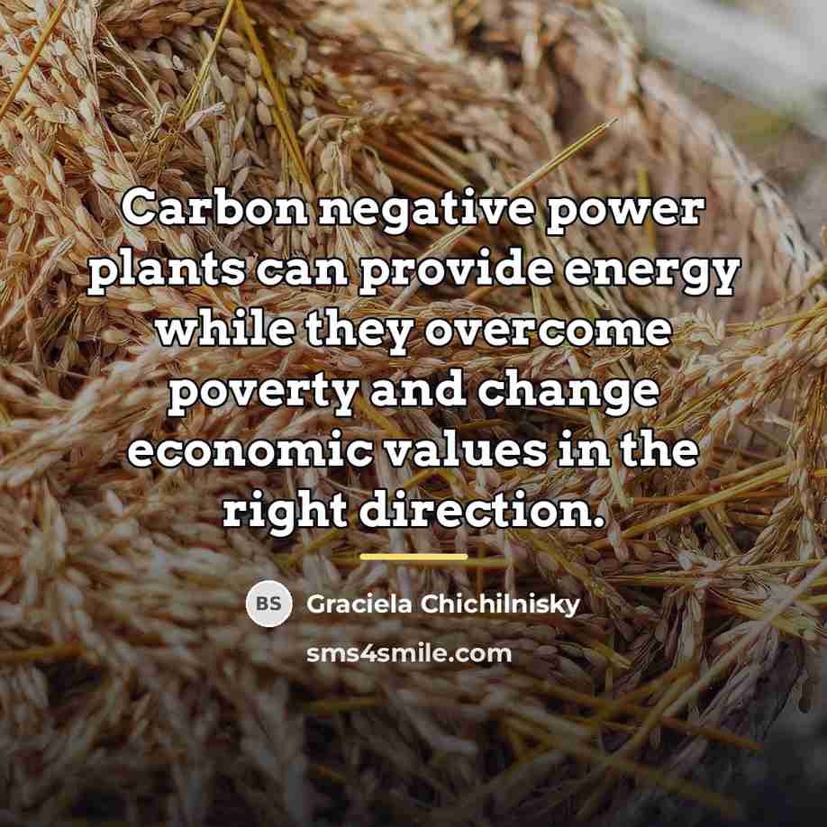 “Carbon negative power plants can provide energy while they overcome…” quote by Graciela Chichilnisky