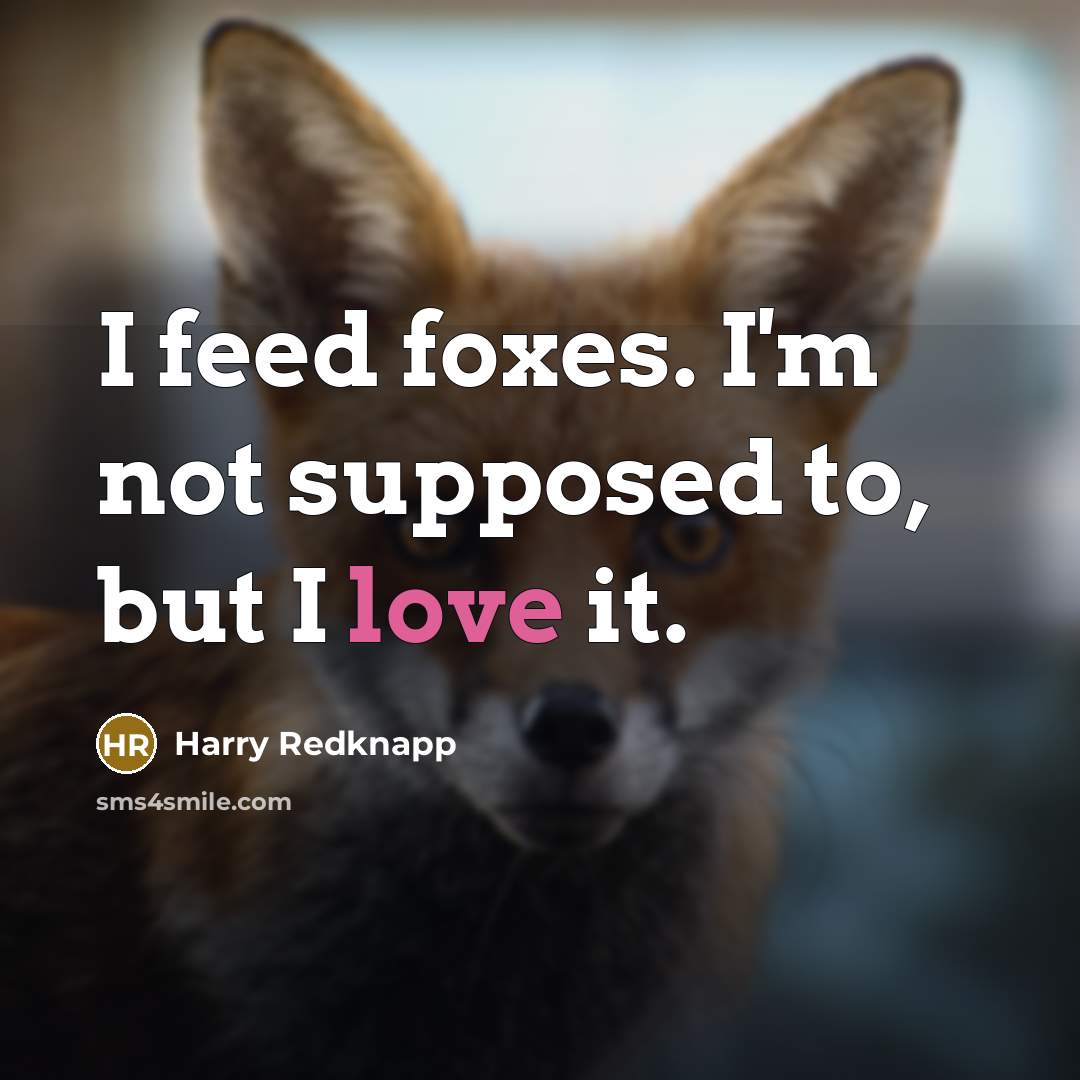 “I feed foxes. I'm not supposed to, but I love…” quote by Harry Redknapp