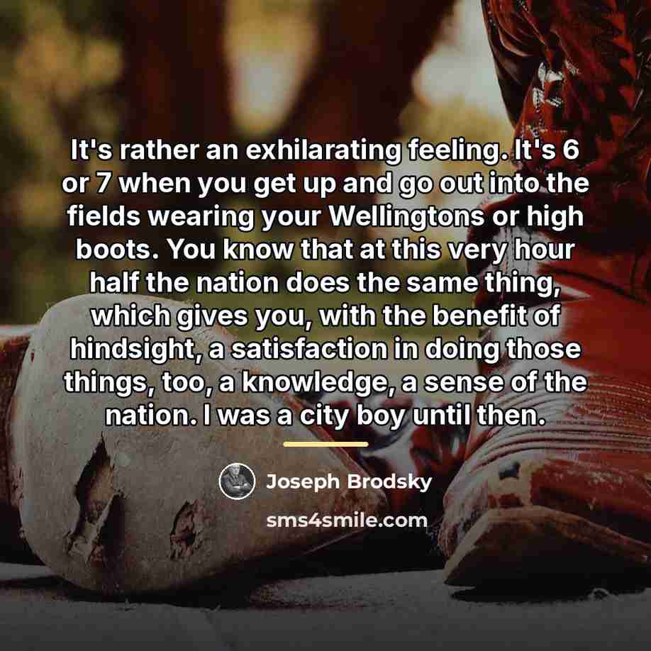 “It's rather an exhilarating feeling. It's 6 or 7 when…” quote by Joseph Brodsky