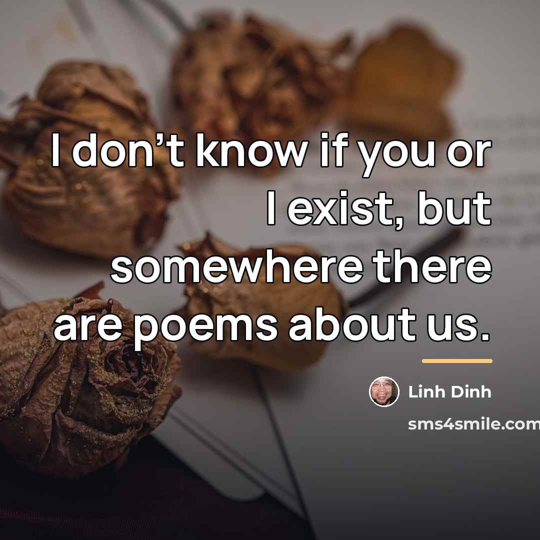 “I don’t know if you or I exist, but somewhere…” quote by Linh Dinh