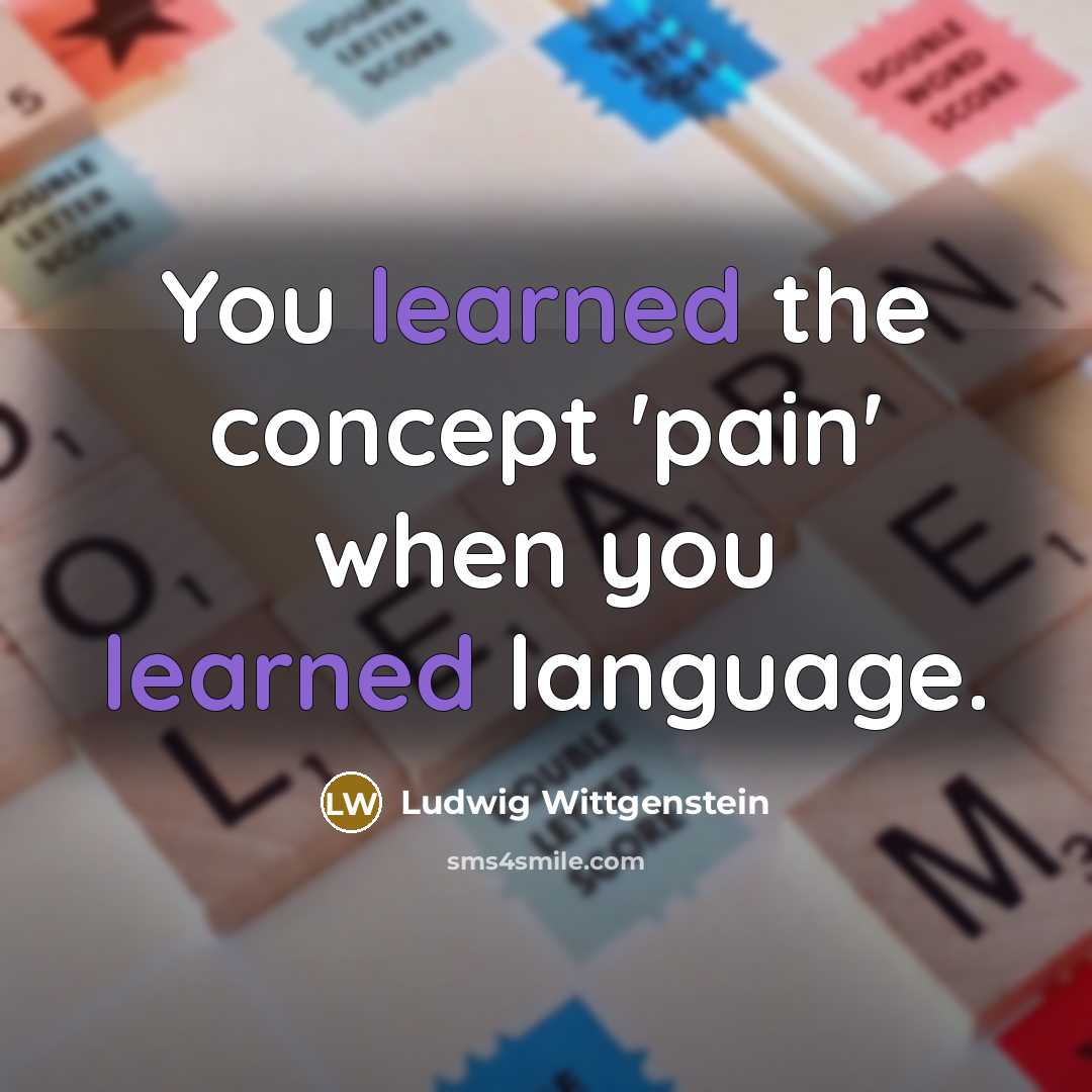 “You learned the concept 'pain' when you learned language.…” quote by Ludwig Wittgenstein
