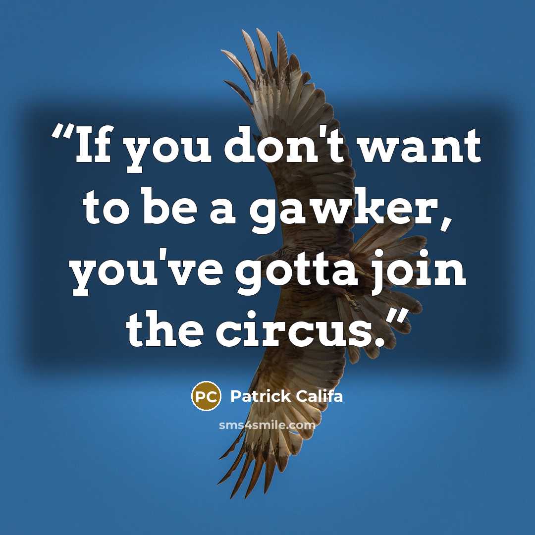 “If you don't want to be a gawker, you've gotta join the circus.” quote by Patrick Califa