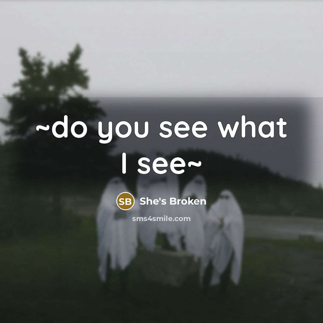 “~do you see what I see~…” quote by She's Broken