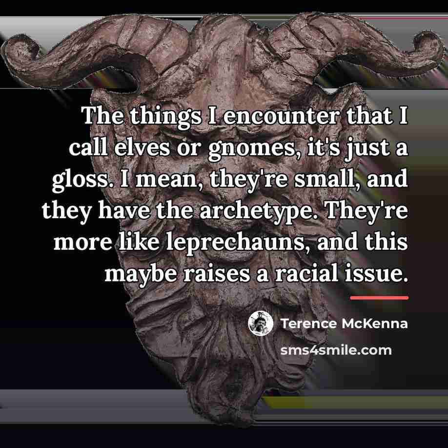 “The things I encounter that I call elves or gnomes,…” quote by Terence McKenna