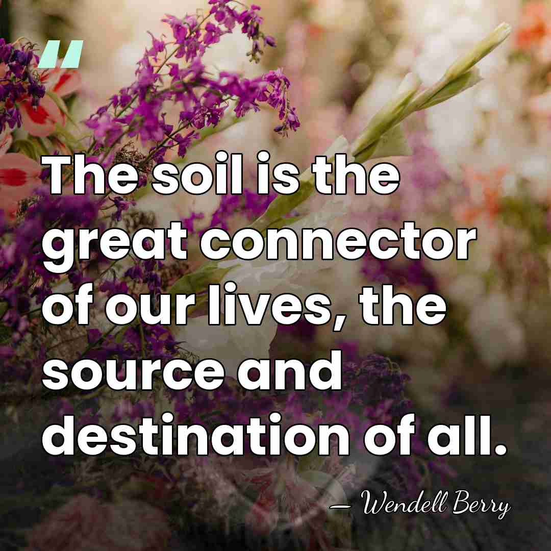 The soil is the great connector of our lives, the source and&hellip; - Wendell Berry