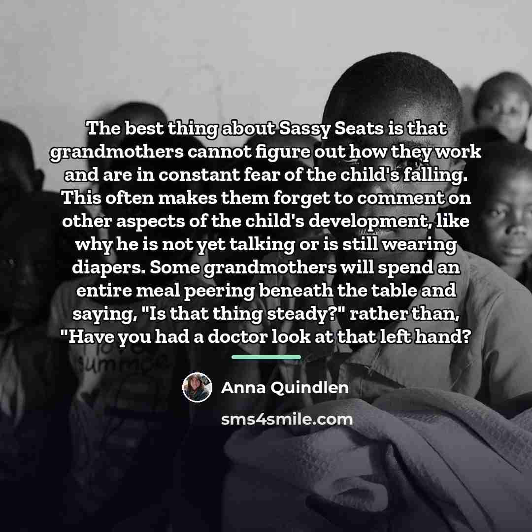 “The best thing about Sassy Seats is that grandmothers cannot…” quote by Anna Quindlen