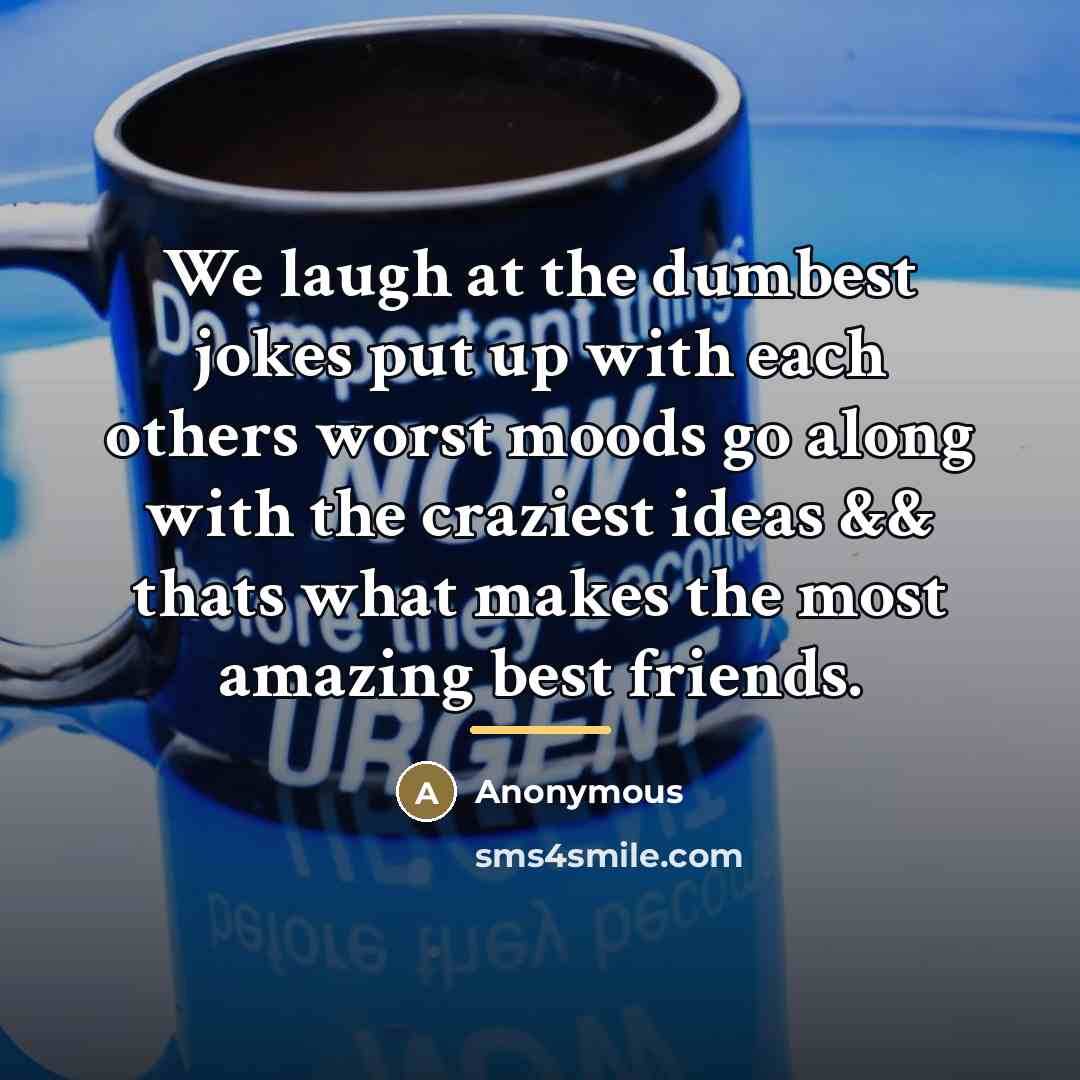 “We laugh at the dumbest jokes put up with each…” quote by Anonymous