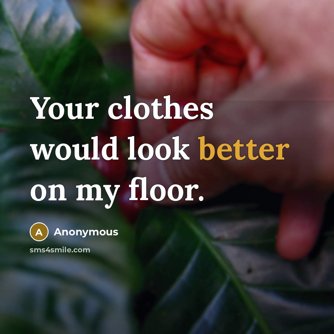 “Your clothes would look better on my floor.” quote by Anonymous