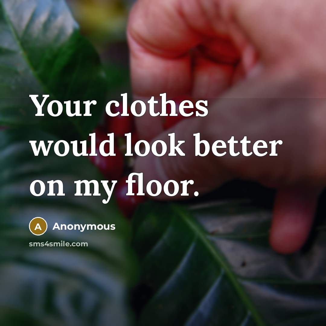 “Your clothes would look better on my floor.…” quote by Anonymous
