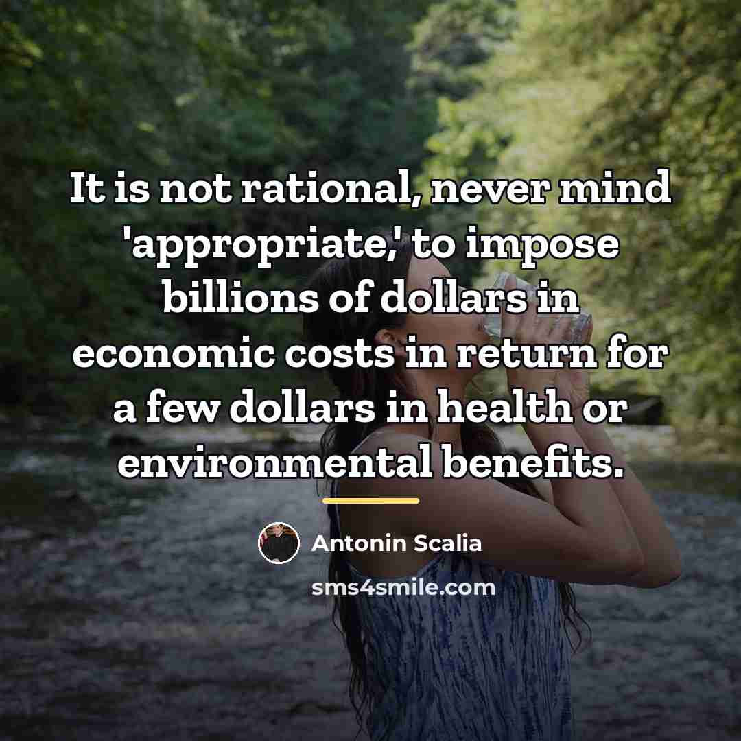 “It is not rational, never mind 'appropriate,' to impose billions…” quote by Antonin Scalia