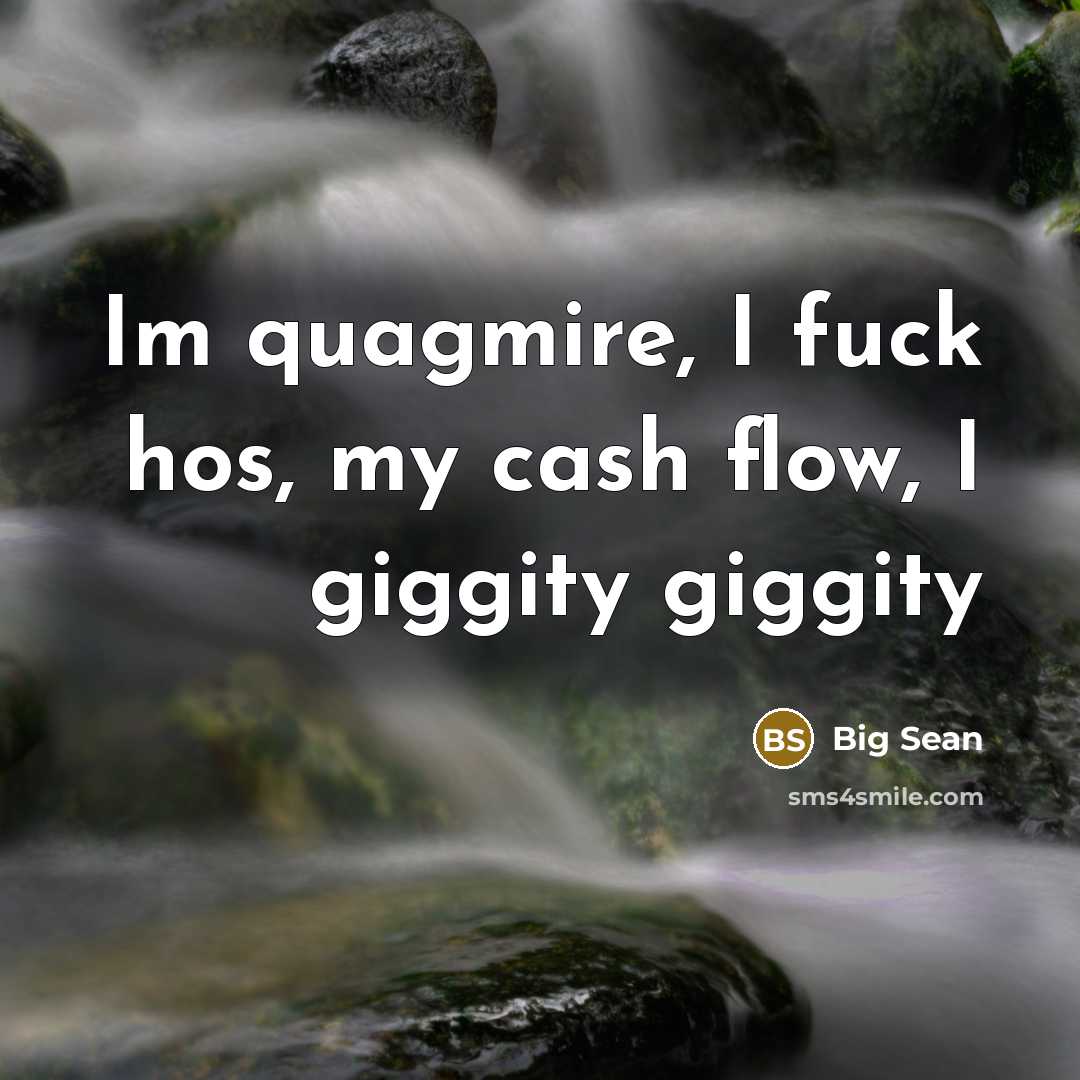 “Im quagmire, I fuck hos, my cash flow, I giggity…” quote by Big Sean