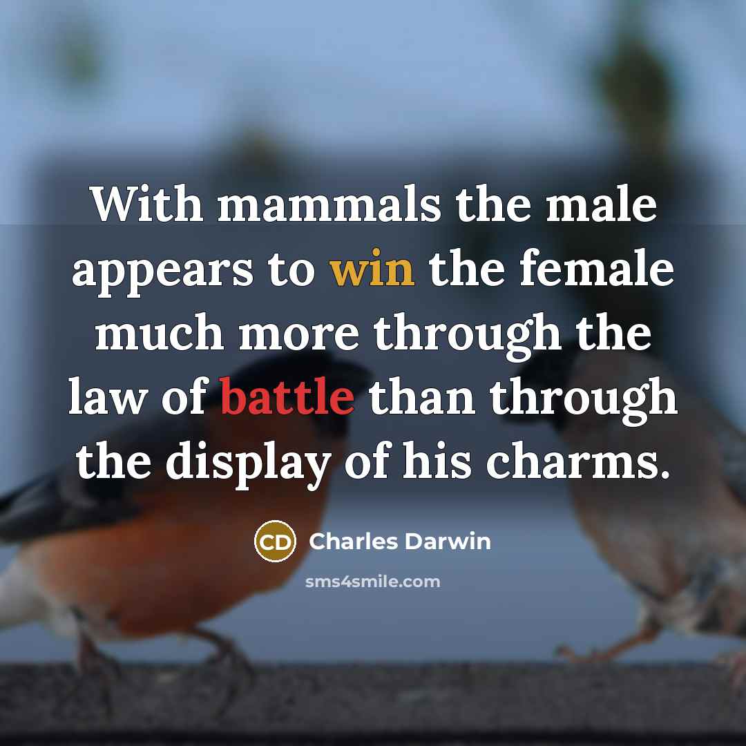 “With mammals the male appears to win the female much…” quote by Charles Darwin