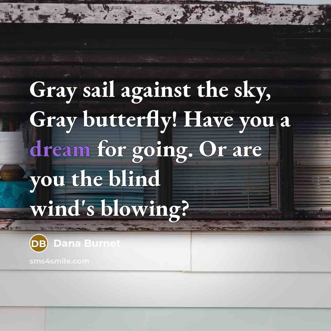 “Gray sail against the sky, Gray butterfly! Have you a…” quote by Dana Burnet