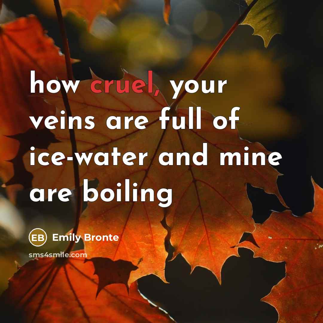“how cruel, your veins are full of ice-water and mine…” quote by Emily Bronte