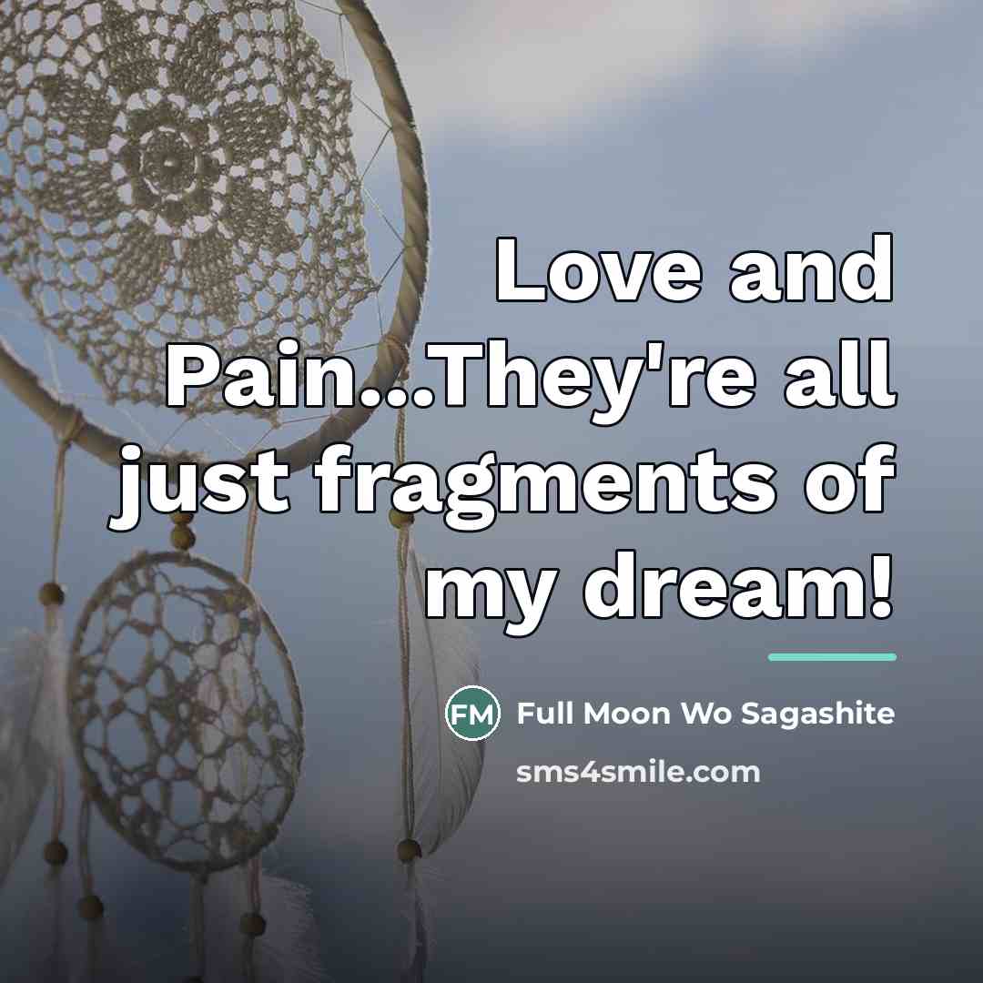 “Love and Pain...They're all just fragments of my dream!…” quote by Anonymous