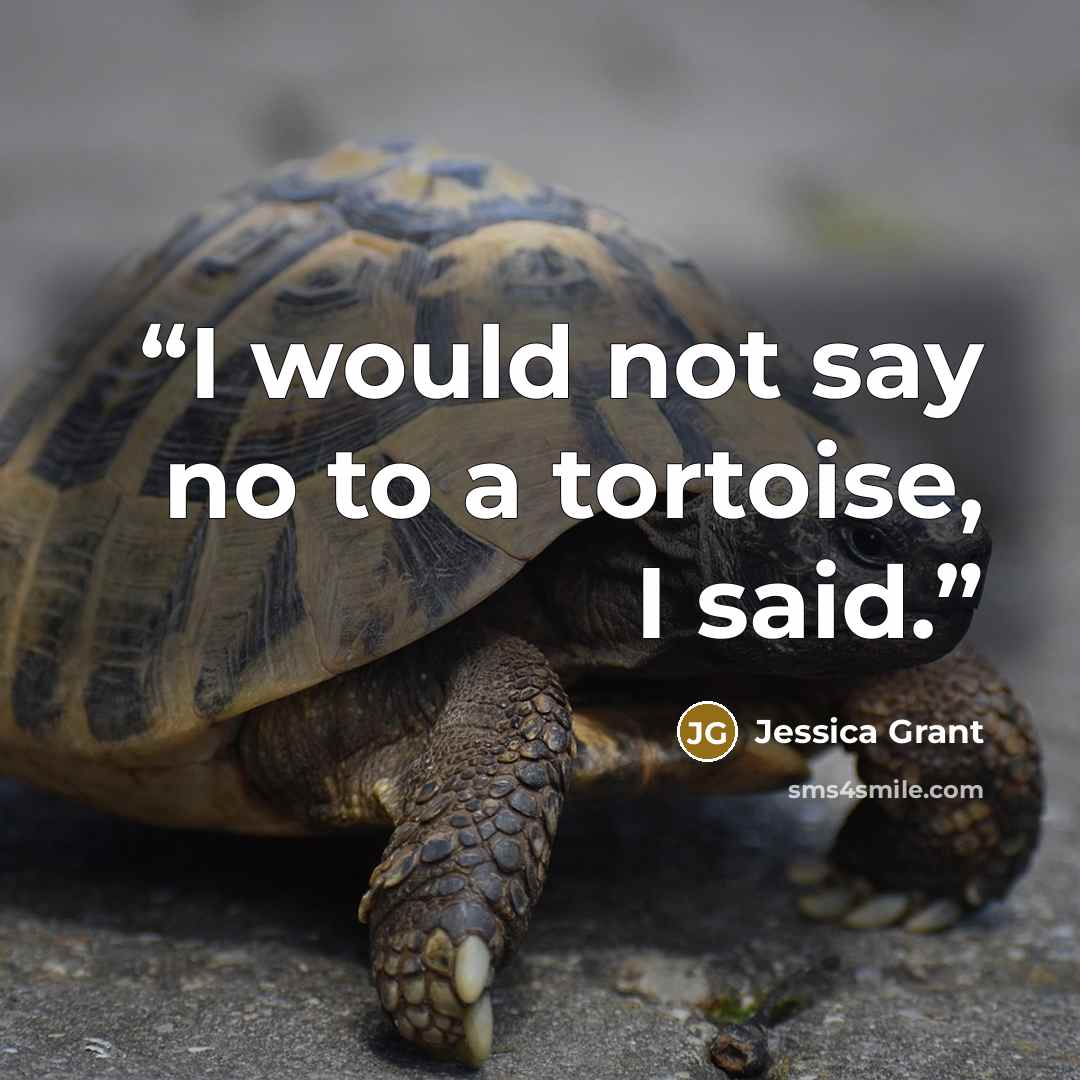 “I would not say no to a tortoise, I said.” quote by Jessica Grant
