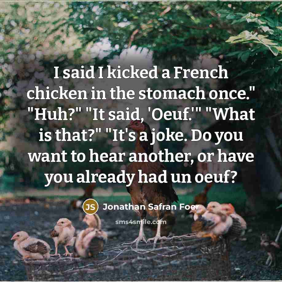 “I said I kicked a French chicken in the stomach…” quote by Jonathan Safran Foer