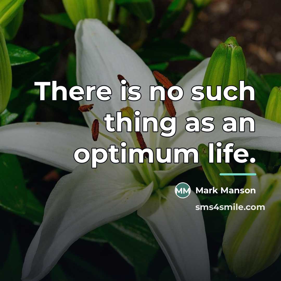 “There is no such thing as an optimum life.…” quote by Mark Manson