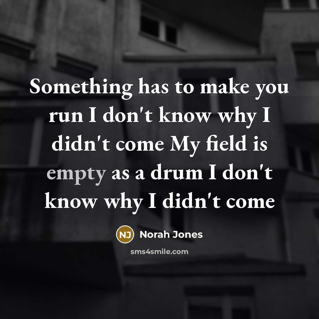 “Something has to make you run I don't know why…” quote by Norah Jones