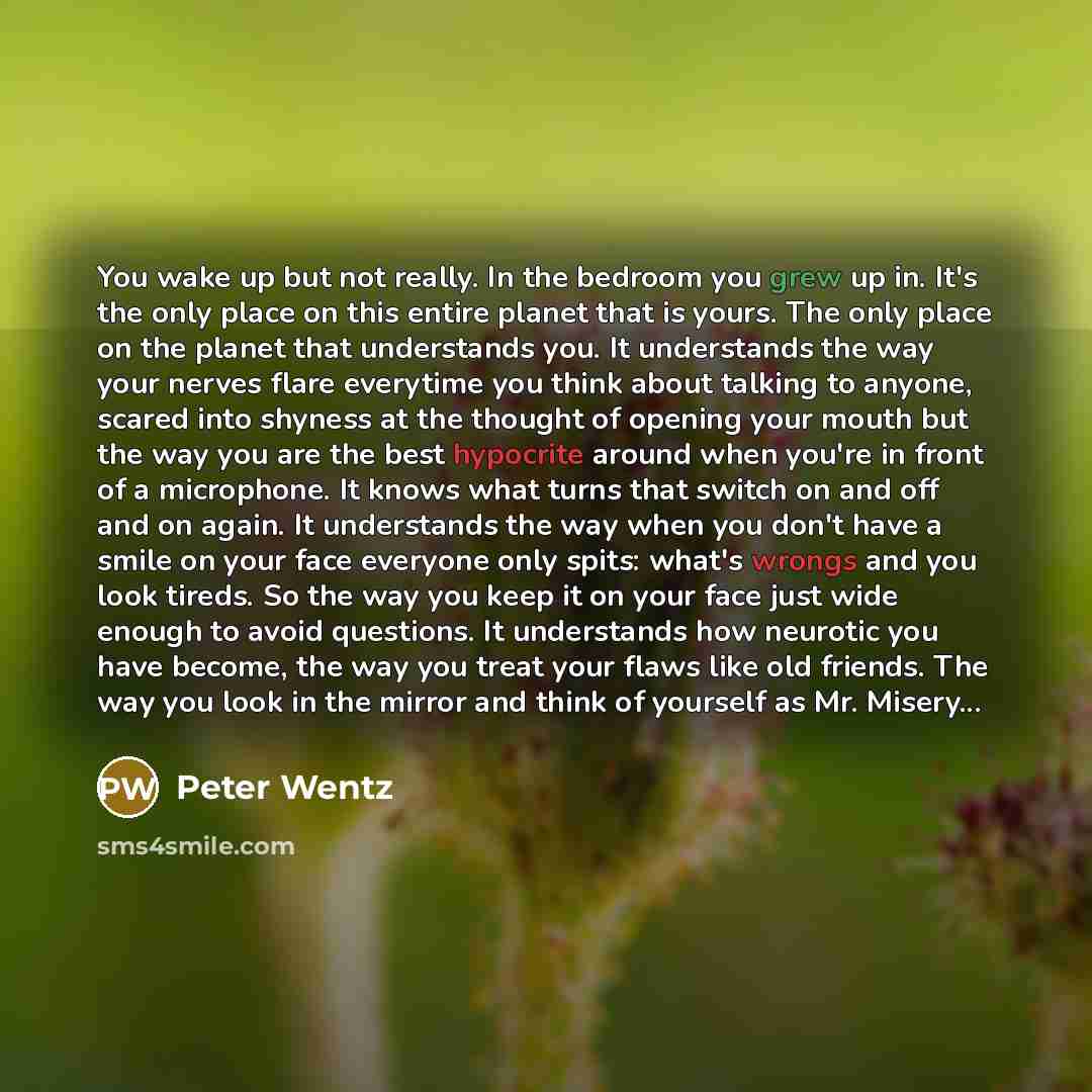 “You wake up but not really. In the bedroom you grew up in. It's the only place on this entire planet that is yours. The only place on the planet that understands you. It understands the way your nerves flare everytime you think about talking to anyone, scared into shyness at the thought of opening…” quote by Peter Wentz