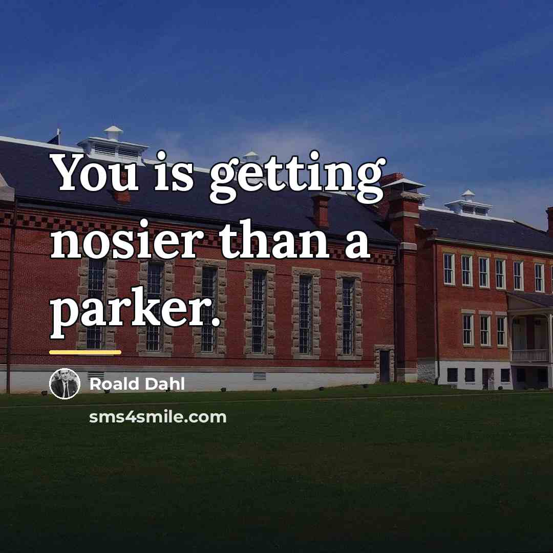 “You is getting nosier than a parker.…” quote by Roald Dahl