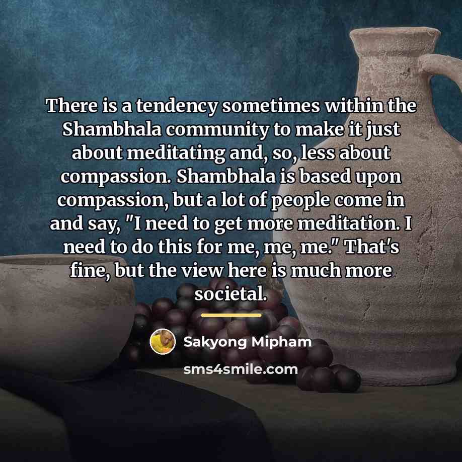 “There is a tendency sometimes within the Shambhala community to…” quote by Sakyong Mipham