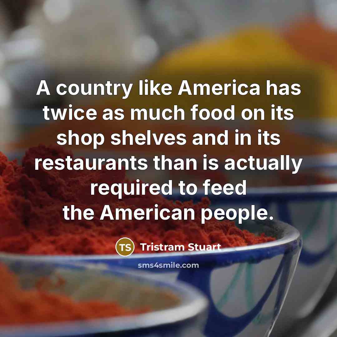 “A country like America has twice as much food on…” quote by Tristram Stuart