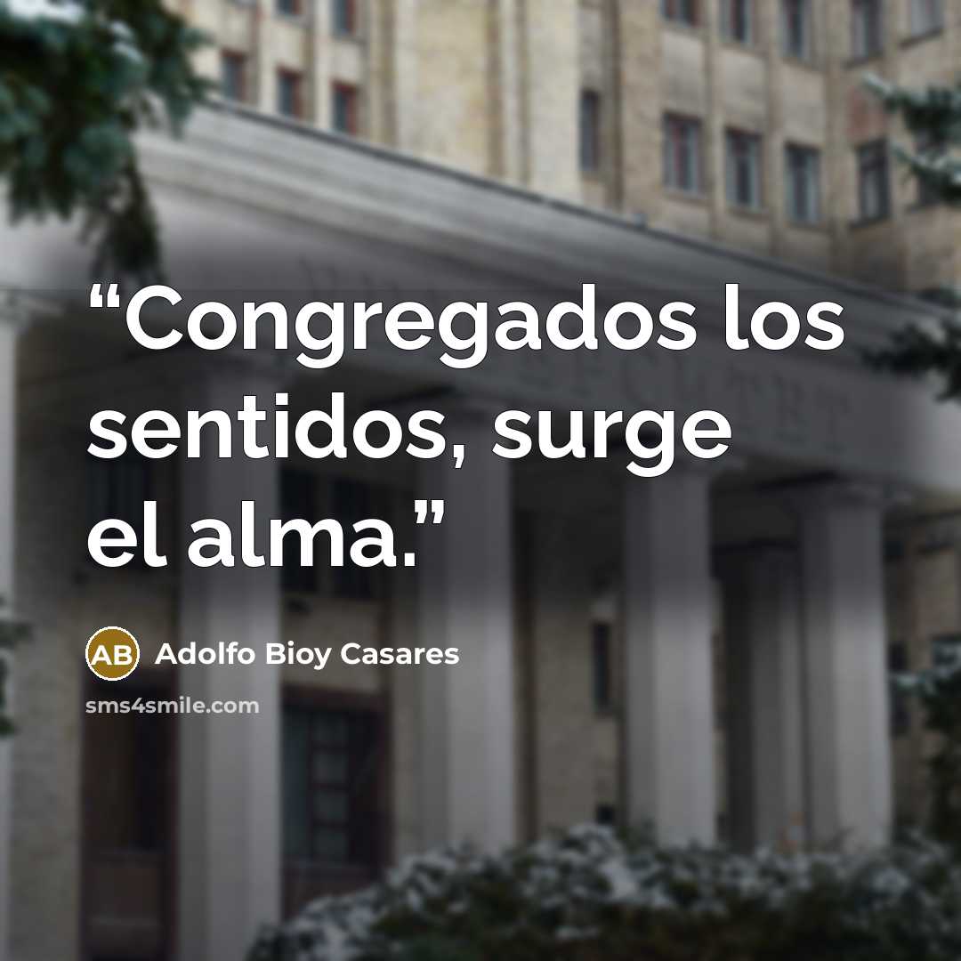 “Congregados los sentidos, surge el alma.” quote by Adolfo Bioy Casares