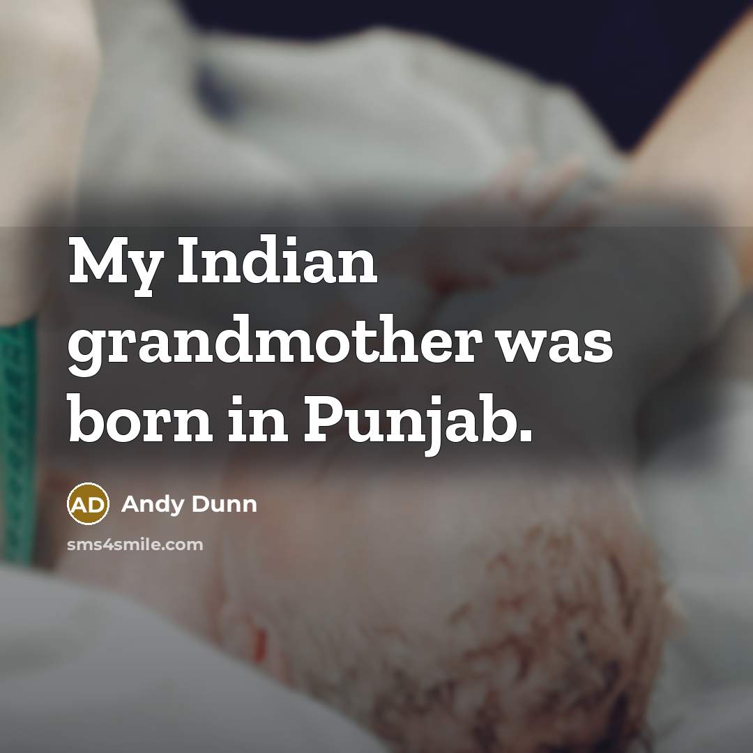 “My Indian grandmother was born in Punjab.…” quote by Andy Dunn