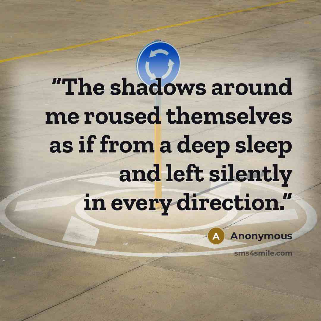 “The shadows around me roused themselves as if from a deep sleep and left silently in every direction.” quote by Anonymous