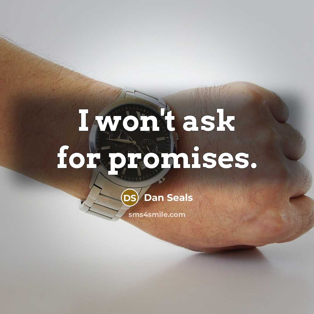 “I won't ask for promises.…” quote by Dan Seals