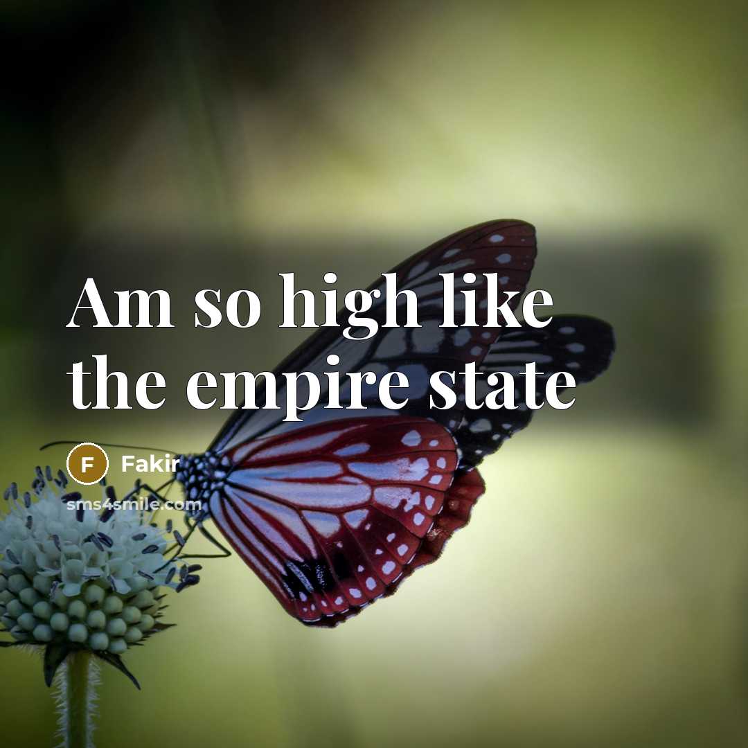 “Am so high like the empire state” quote by Fakir