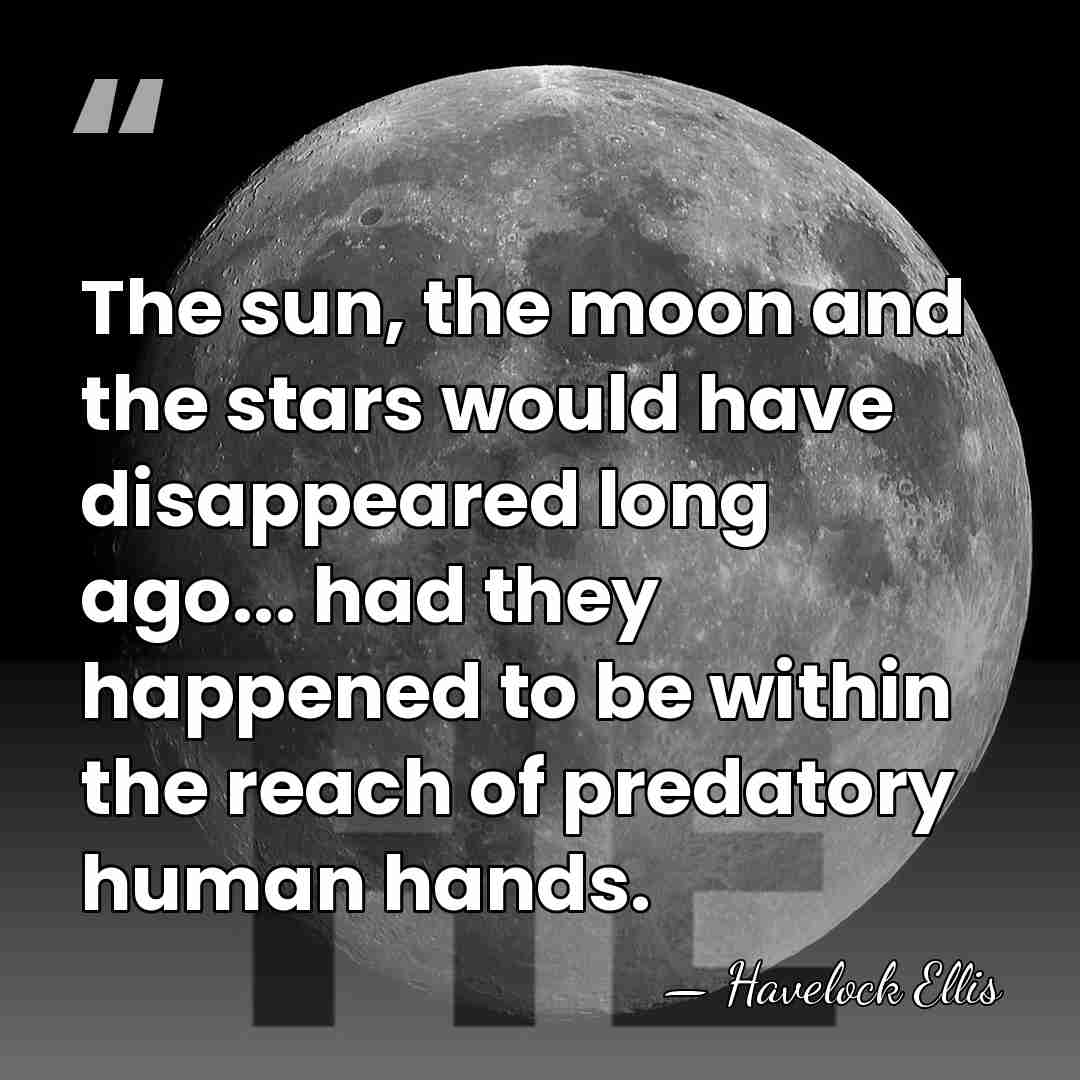 The sun, the moon and the stars would have disappeared long ago...&hellip; - Havelock Ellis