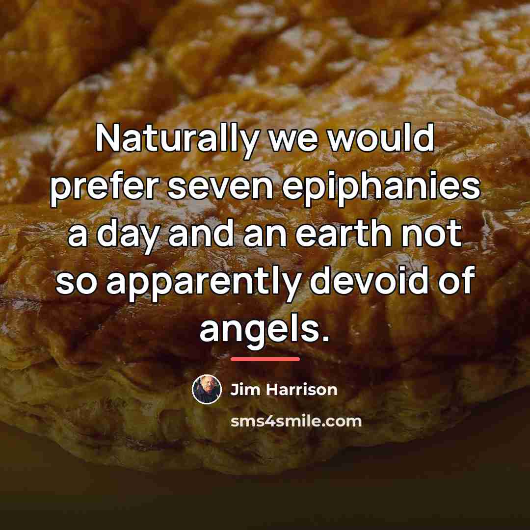 “Naturally we would prefer seven epiphanies a day and an…” quote by Jim Harrison